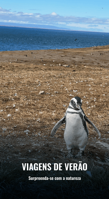 Ushuaia - viagens de verão