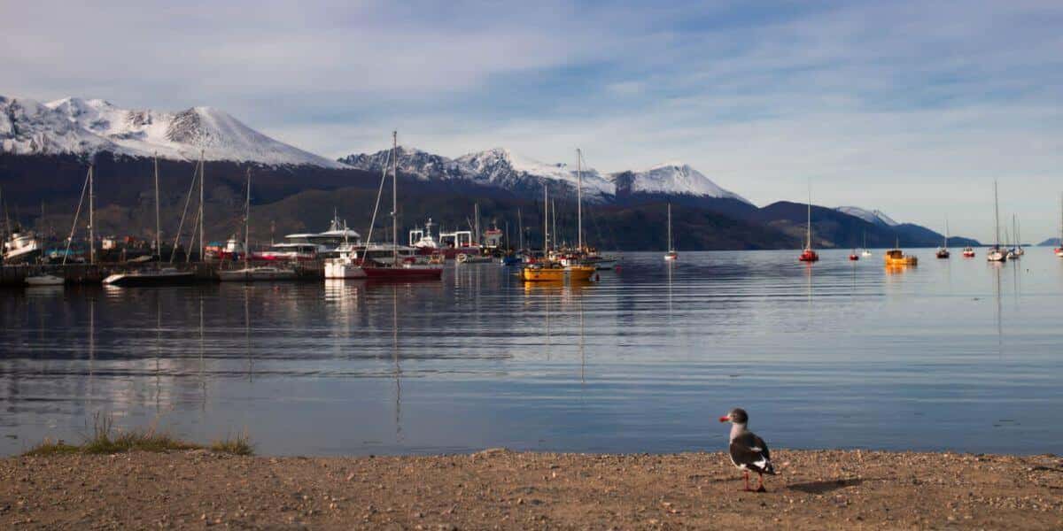 Ushuaia e El Calafate no Outono - 9