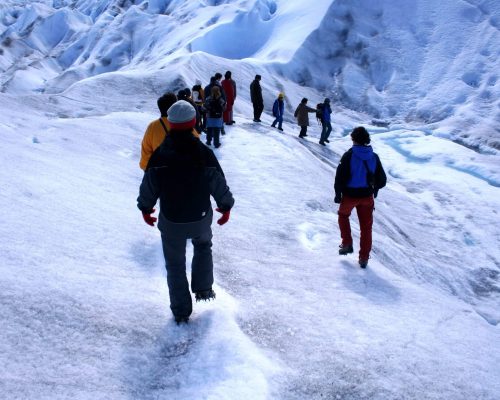 Trekking Moreno (301)