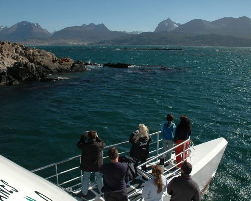 Vista Isla de los lobos 1
